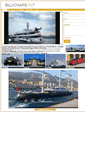 Mobile Screenshot of billionaireplc.com